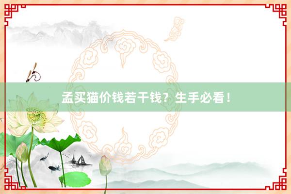 孟买猫价钱若干钱？生手必看！
