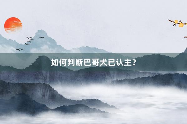 如何判断巴哥犬已认主？